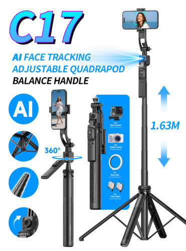 Selfie Stick C17